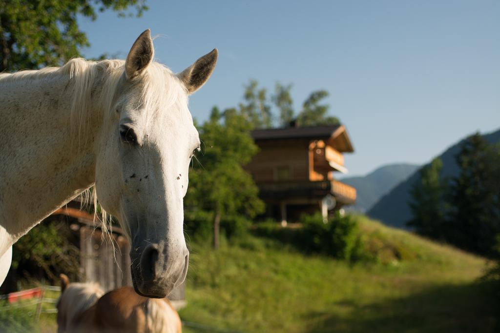 Ferienhaus Oetztal Sautens Exterior photo